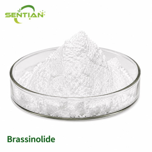 Natural Brassinosteroid for Crop Growth & Fruit Development