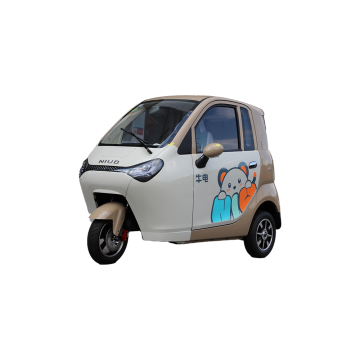 EEC Electric Closed Car 3 Wheeler Mini Van for Mobility
