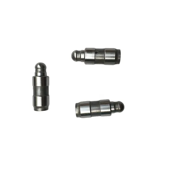 High Quality Hydraulic Tappet Engine Valve 481H-1007040