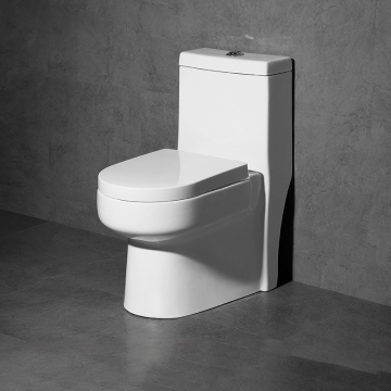 China Wholesale One Piece Ceramic Bathroom Toilet Bowl - White Porcelain Sanitary Ware