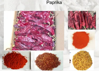 Factory Supply Farmer Prices Fresh Taste Paprika