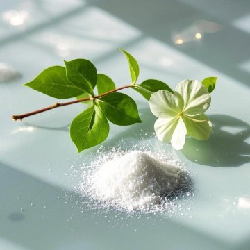 Houttuynia cordata extract supply