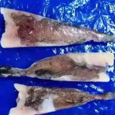 Factory Direct Iqf Monkfish Companies Low Fat No Addition Iqf Queue De Lotte