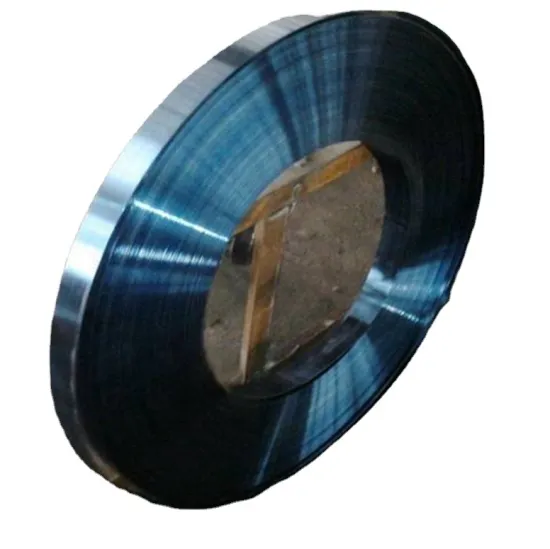 High Quality 65mn Spring Steel Strip for Roller Shutter Doors - China Hot Sale