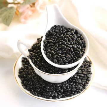 dried Black kidney Bean with cheap price