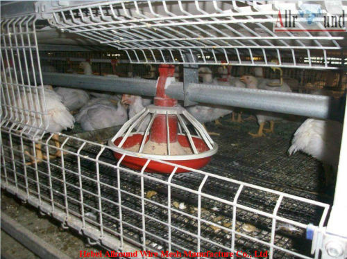 Poultry chain feeding system  