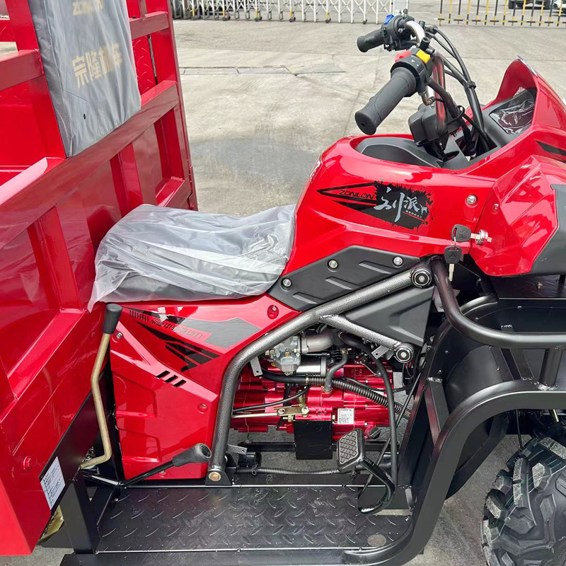 Beach Off Road Motor Tricycle