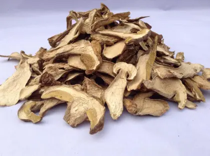 Dried Delicious Porcini Mushroom