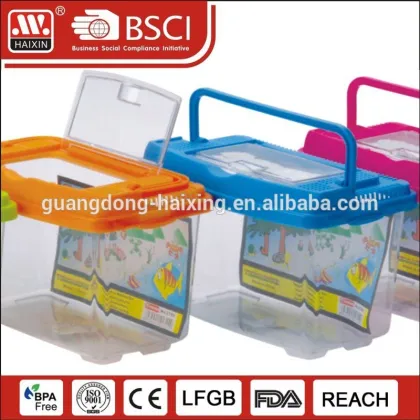 HAIXIN plastic pet transport,clear packaging box