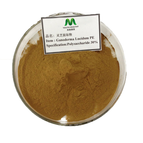 Реисхи печурке / Ганодерма луцидум екстракт