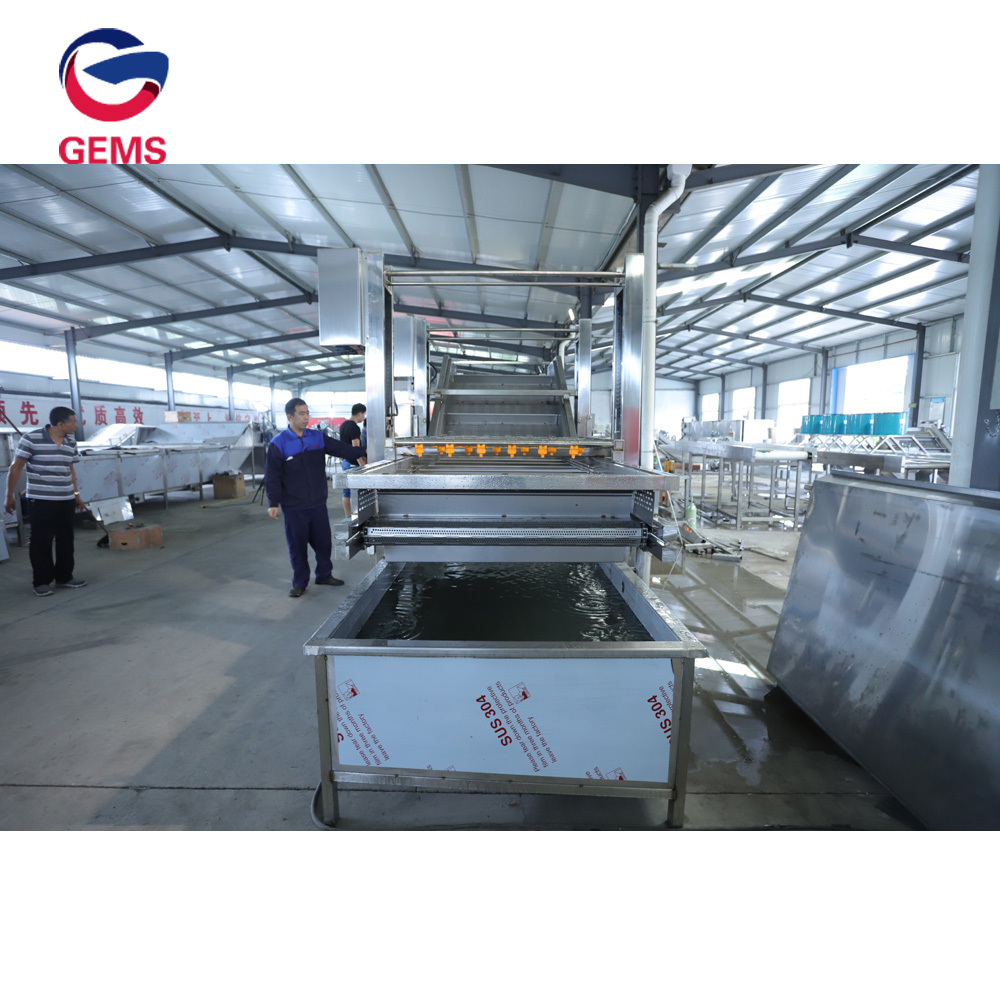 Brush Potato Cleaning Machine Onion Cleaning Machine