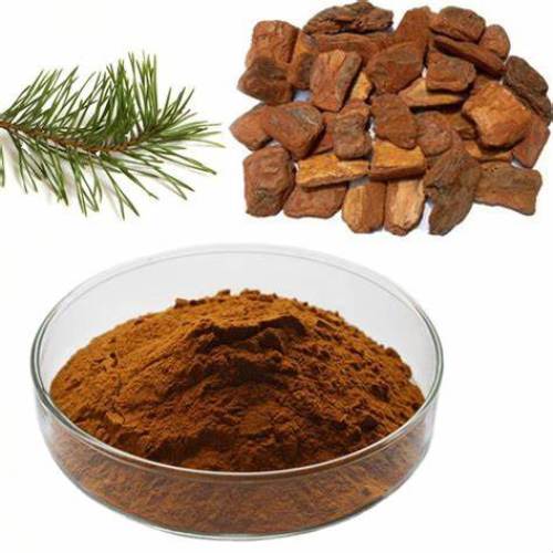 Pine Bark Extract for Enhanced Health Benefits