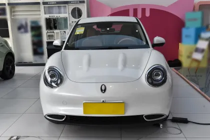 Used Car Prices for Great Wall Motor Euler Good Cat 2024 401km Comfort Model