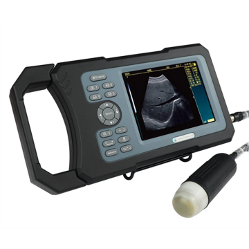 Veterinary Ultrasound Scanner with 3.5MHz Sector Probe