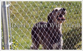 chain link fence chain link fence