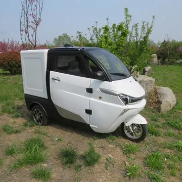Adult Electric Car EEC Cargo Box Three Wheel Electric Car 2023 Low Speed Lead Acid Battery Coc Certificate China Electric Car