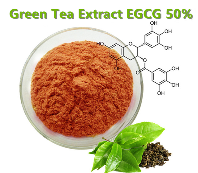 Green TEa extract EGCG 