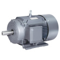 Beide0.75KW 1TL0003 Motor asynchrone en fonte en fonte