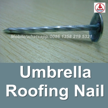 china 1 Lb. Electro Galvanized umbrella head roofing nails