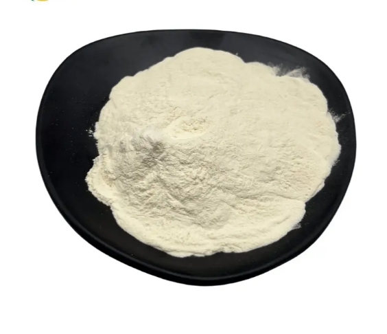 High Quality White Kidney Beans Powder