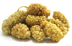 100% Natural Mulberry Fruit Extract/ Mulberry Extract Powder with 5%10% 25%