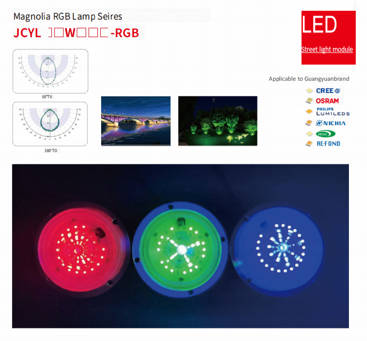 Magnolia RGB đèn LED mô -đun ánh sáng đường phố