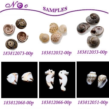 Shell Beads