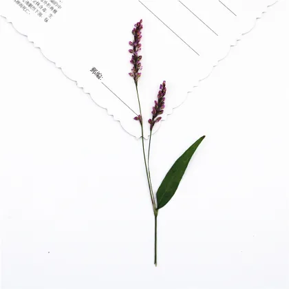 Rose Lily Safflower DIY Flower Art Pack