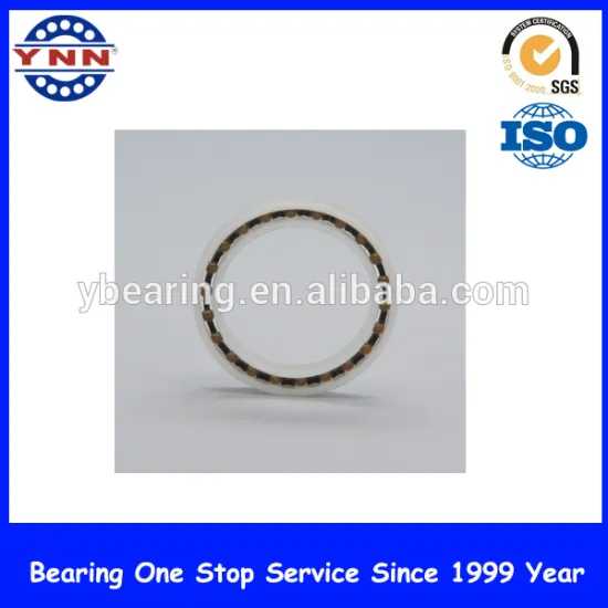 China directly first grade OEM customied the plastic bearing