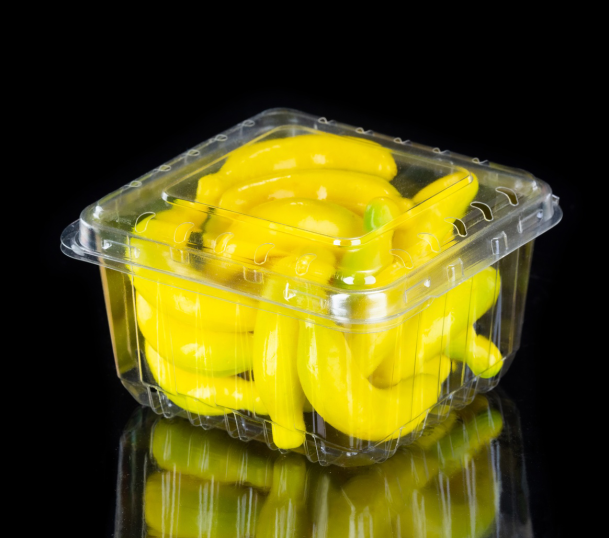 Scatole di plastica a conchiglia per mirtillo