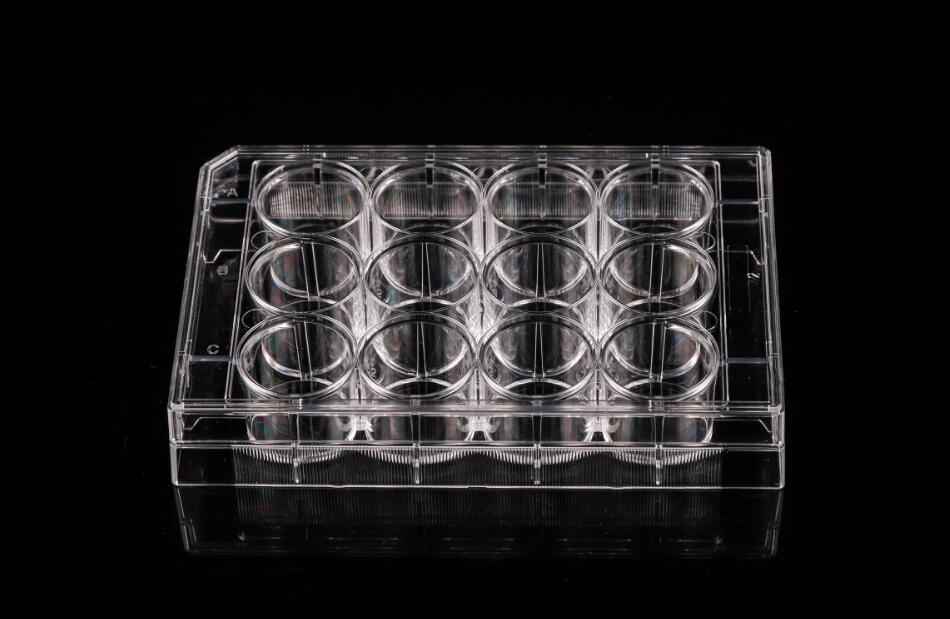 TCTreated 12 well Cell Culture Plates China Manufacturers Suppliers
