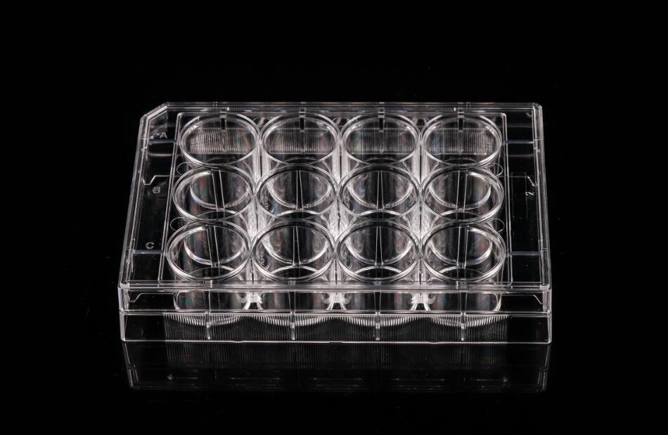 Cell Culture Plates