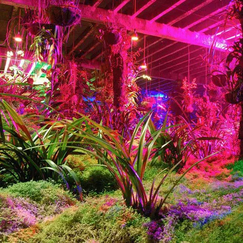 90w-gu Hydroponics &amp; Horticulture &amp;greenhouse Led Plant Growing Lights For Indoor Plants