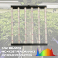 Plantas domésticas internas Luzes de cultivo vegetal LED Full Spectrum