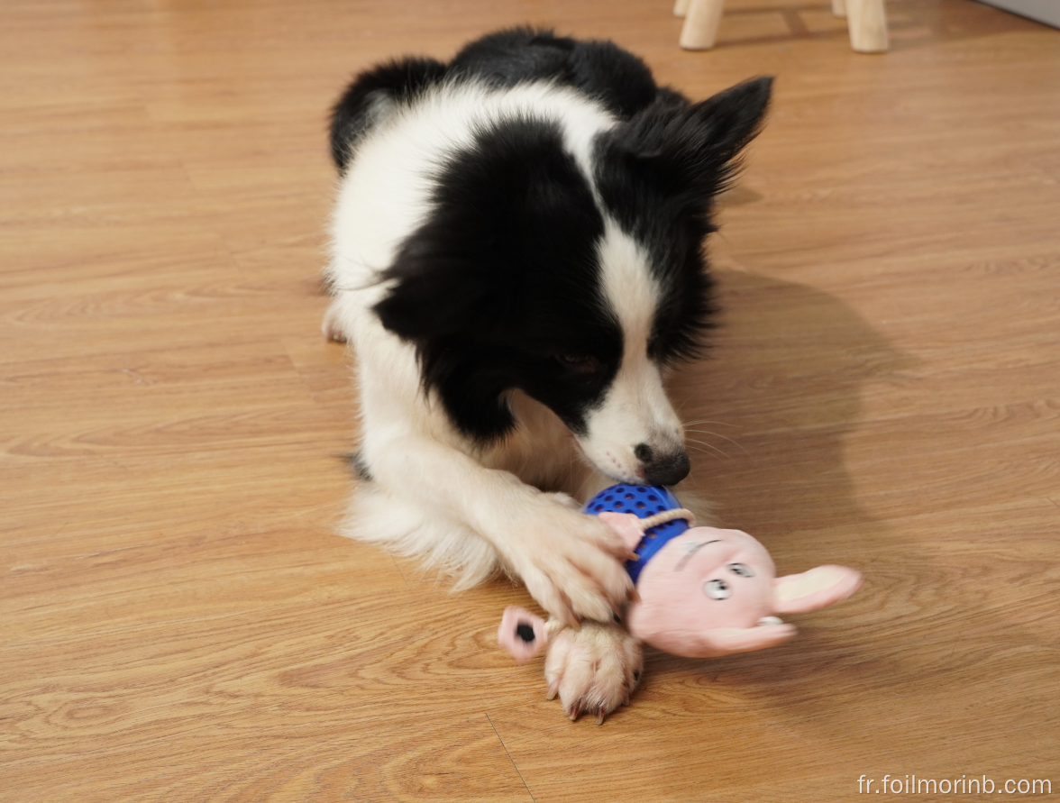 Lapin en peluche pour chien