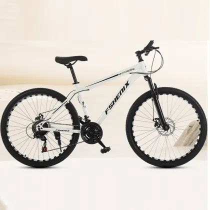 Wholesale mountain bike 21 speed off-road cycling bicycle