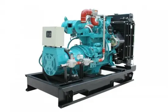 Biomass Gas Generator Set