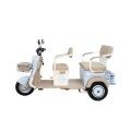 Practical Electric Tricycle with Side Storage