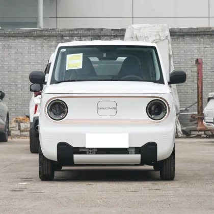 2023 Geely Panda Mini New Energy Electric Car with Airbags - GuangZhong in Stock