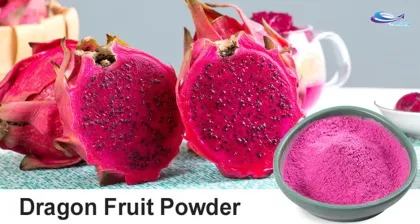 Natural White Dragon Fruit Powder White Pitaya Fruit