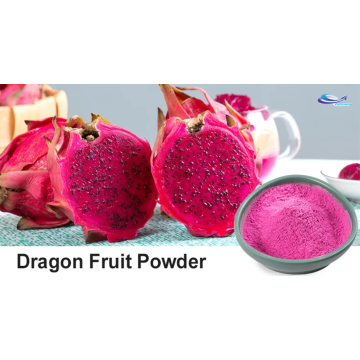 Vacuum Freeze Dried Red Dragon Fruit Powder