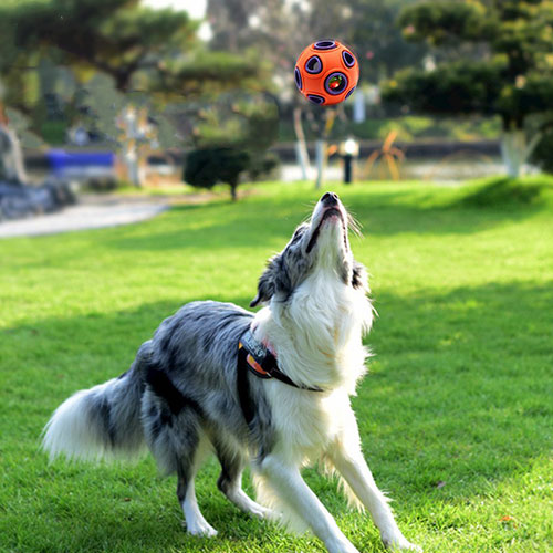 Rubber Dog Treat Toy