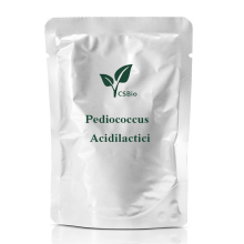 Probiotics Powder of Pediococcus Acidilactici