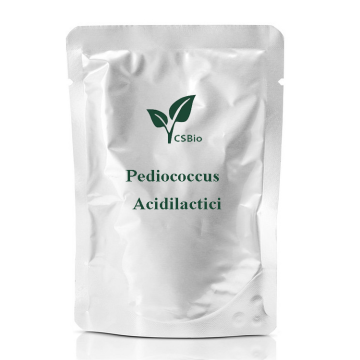 Pediococcus acidilactici의 프로바이오틱스 분말