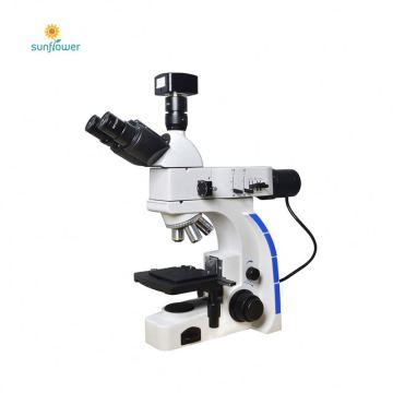 Field Emission Scanning Electron Microscope (SEM) Equipped with Schottky Schottky Field Emission Electron Gun: Advanced Imaging Technology