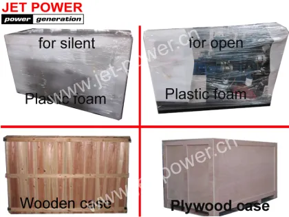 Green Power Nature Gas Generator Natural Biogas Gas Generator