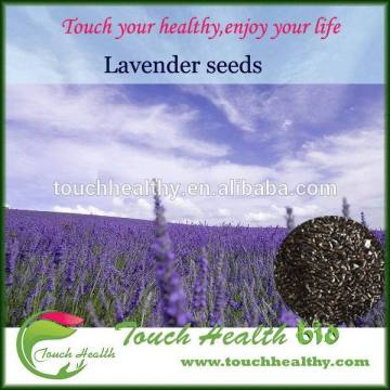 Touchhealthy supply High germination lavender flowers seeds for sowing