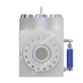 Swing Check Valve
