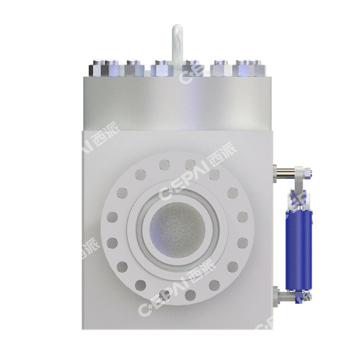 Swing check valve