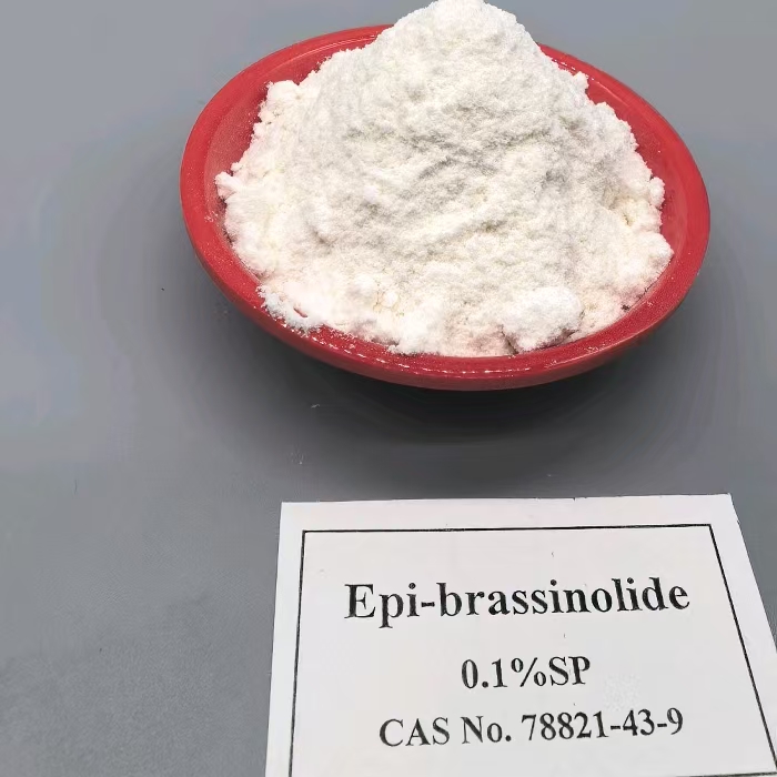 epi-brassinolide 0 (33)